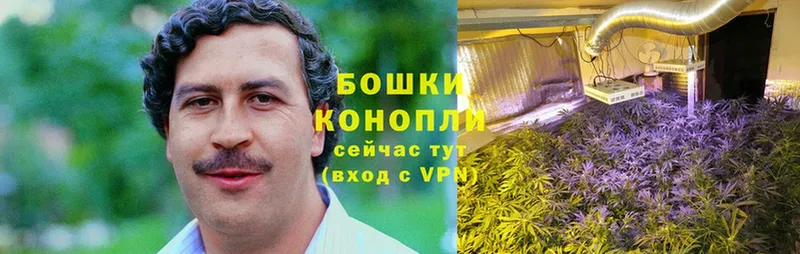 цена наркотик  Новоуральск  Каннабис Bruce Banner 